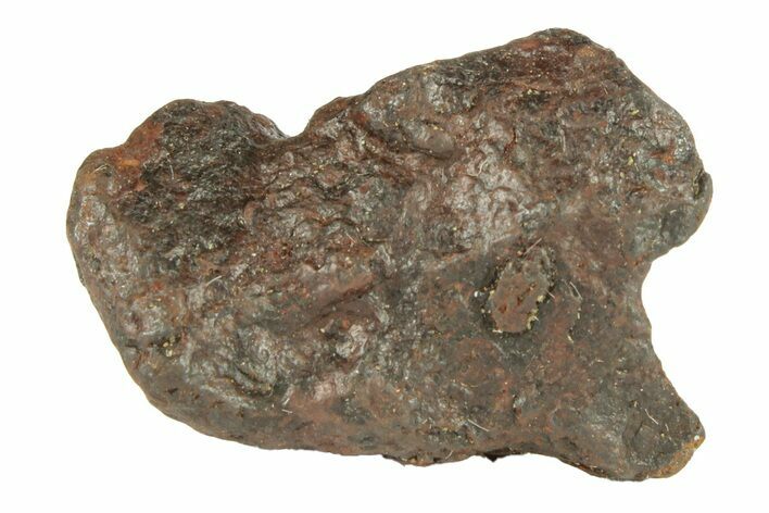 Canyon Diablo Iron Meteorite ( g) - Arizona #270810